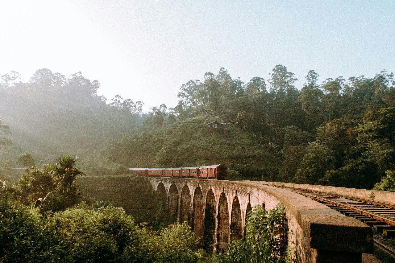 Epic wildlife and safaris: immersing in Sri Lanka’s Raw and unbroken wilderness